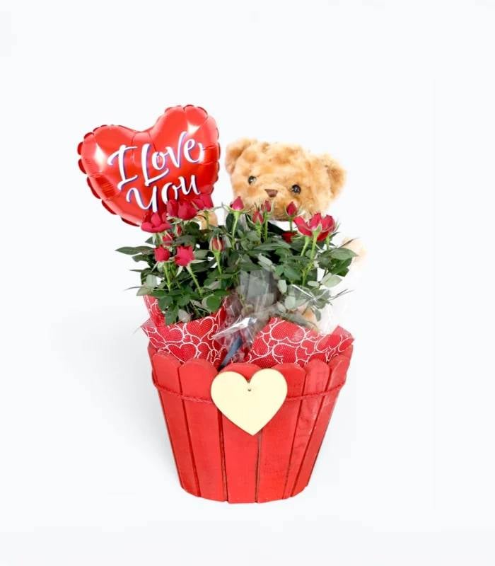 LOVING GARDEN of Baby Roses