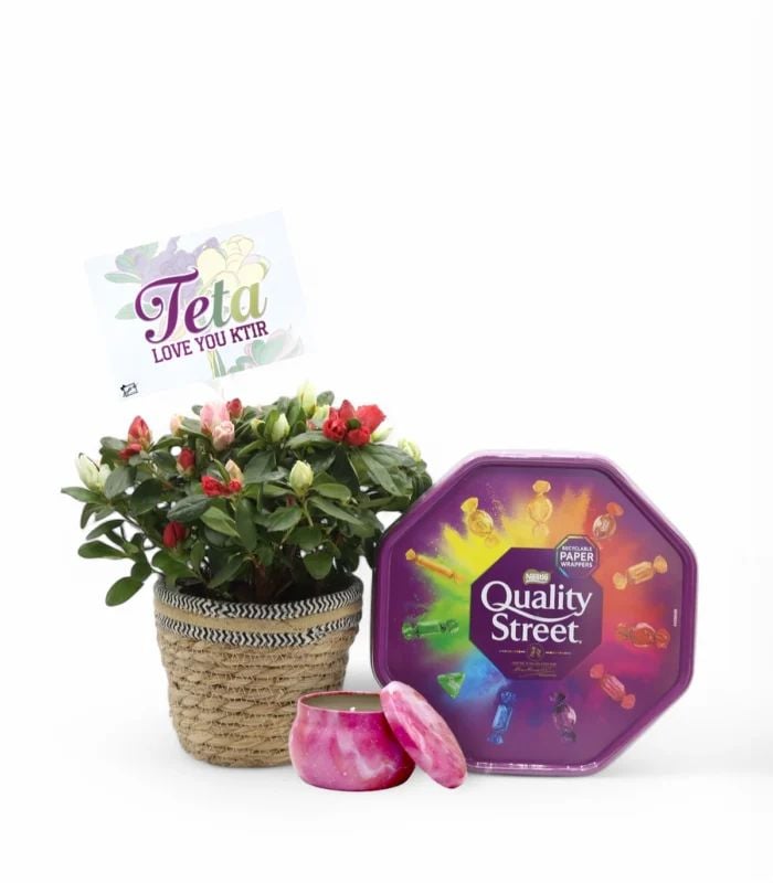 Teta's Love Gift Bundle