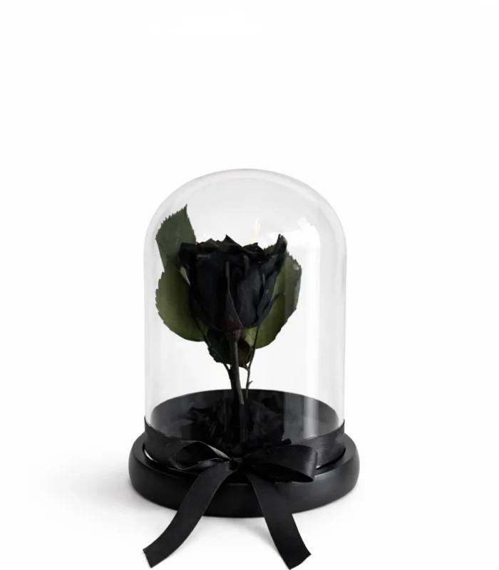 Eternal Noir Rose Glass Dome