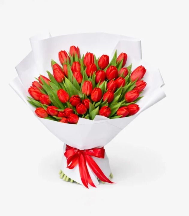 Red Passion Tulips – Select Size (20 tulips)