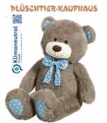 Gray Teddy