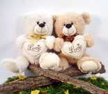 Teddy Bear With Heart