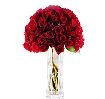 Red And Rich Temptation