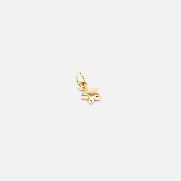 Golden stainless steel star charm