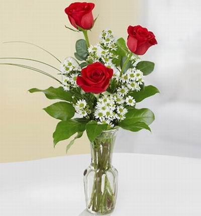 Triplet Roses (Assorted Triplets)