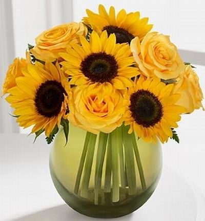 Sunny Roses