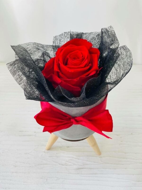 Single Elegant Forever Red