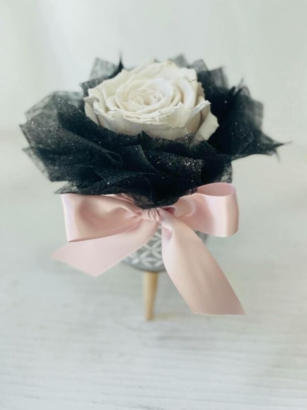 Single Elegant Forever White