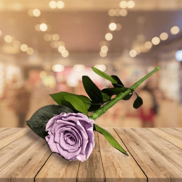 Lavender Forever with stem