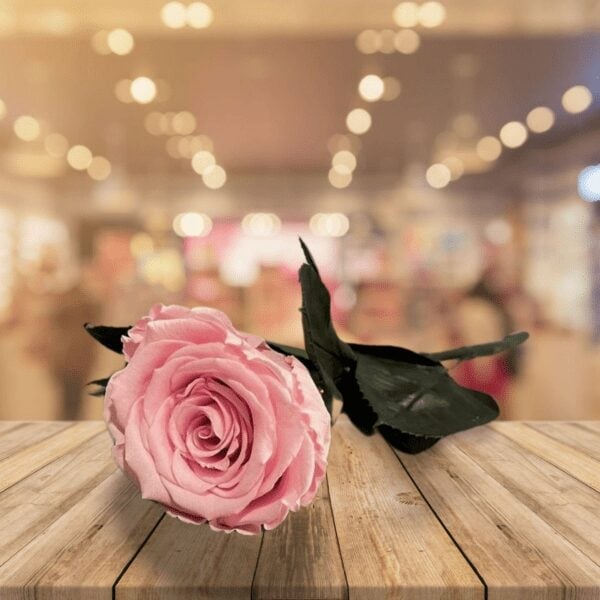 Pink Forever with stem