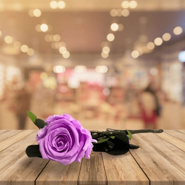 Purple forever with stem