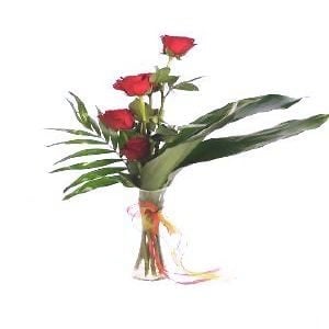 Five Roses in Vase