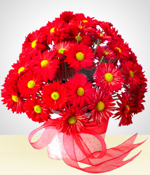 Red Feeling : Red Daisies