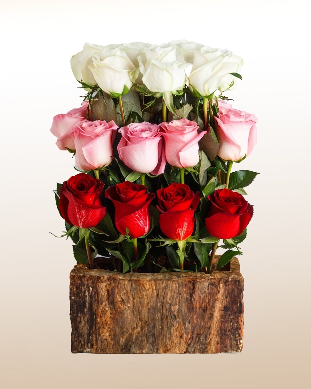 Dreaming 15 Roses Water Fall