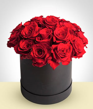 Velvet Box 24 roses