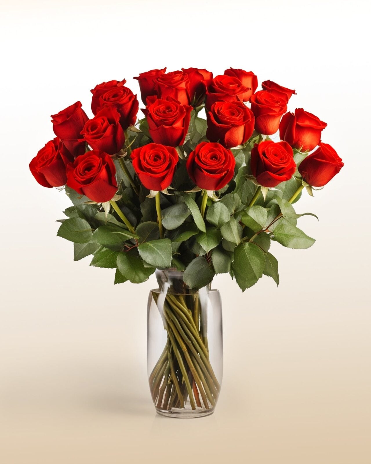 Majestic 24 Red Roses