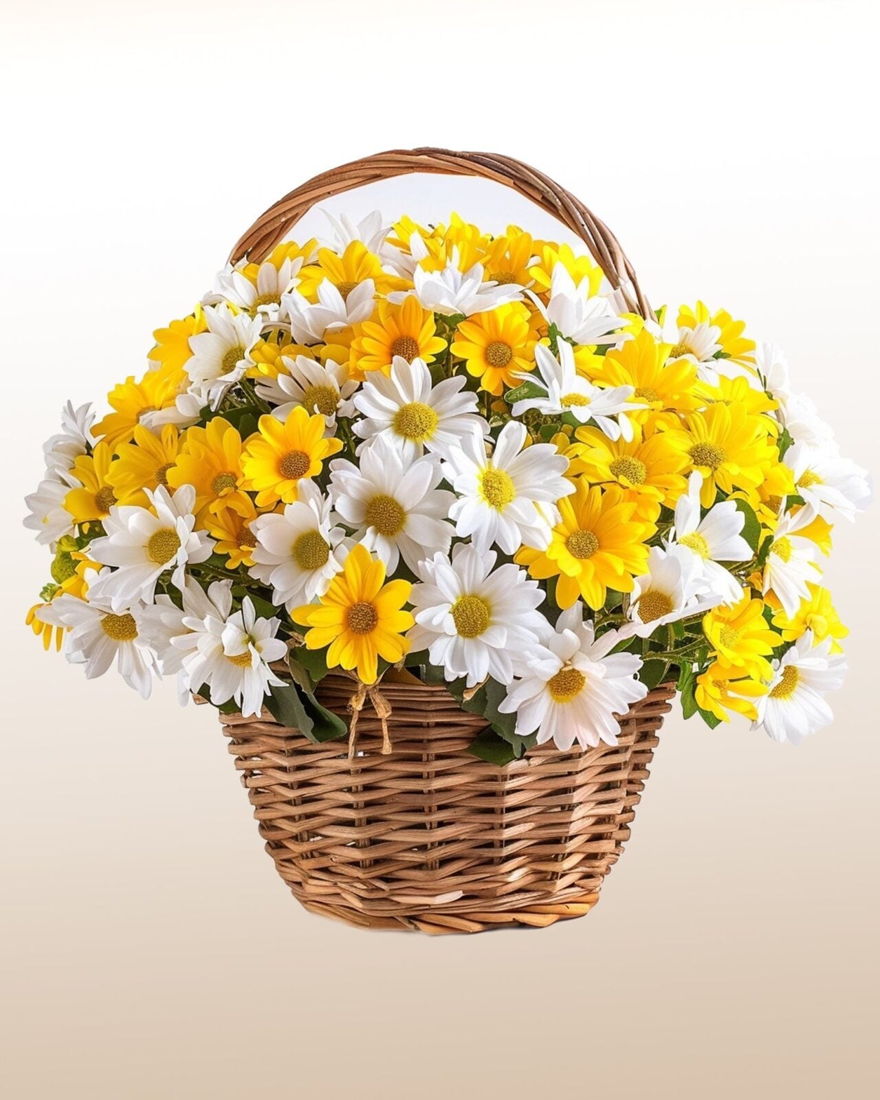 Memories: White and Yellow Daisies