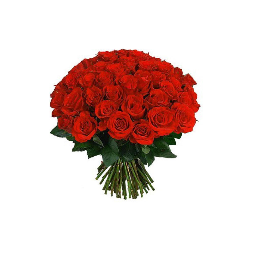 3 Dozen Red Roses