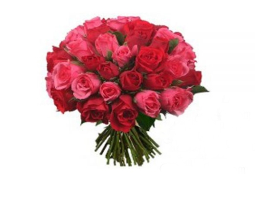 3 Dozen Red And  Pink Roses