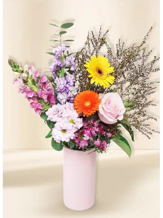 Bright Seasonal Regular