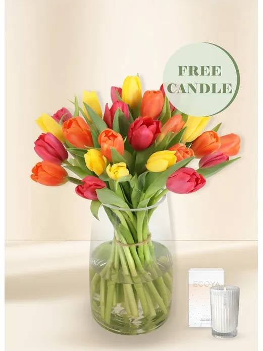 Tulips - Vivid (30) with Free Candle