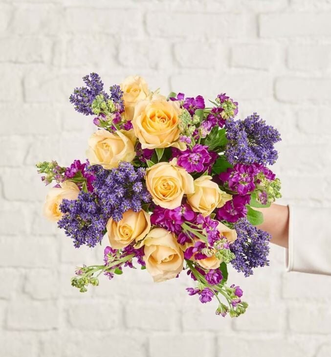 ViaBonte-Purple Gilly