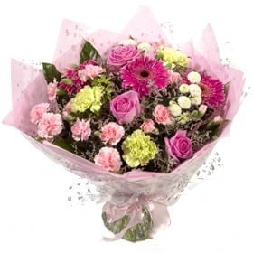 Pink Handtied (Medium)