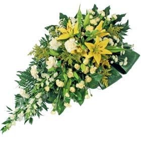 Lemon and cream spray (Standard)