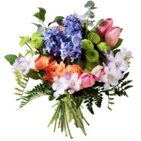 Birthday: Aquarius (Standard)