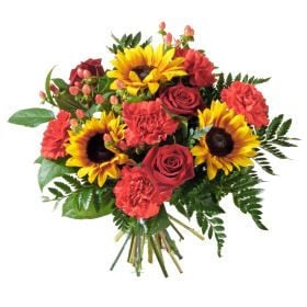Birthday: Aries (Standard)