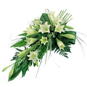 Longi Lily Spray (Select A Size)