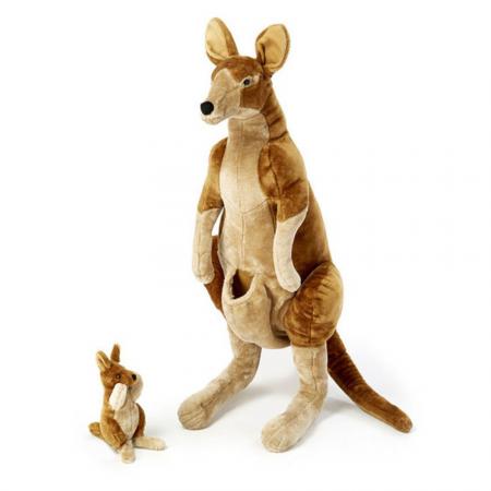 Kangaroo With Joey