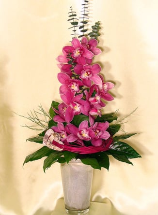 Pink Orchid Branch