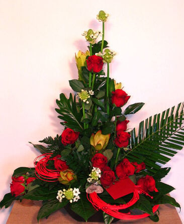 Stars And Red Roses