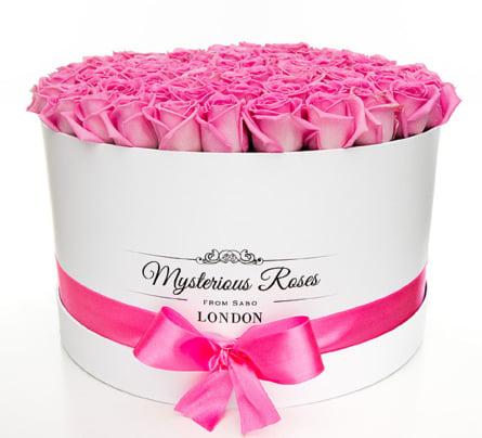 Mysterious giant box of roses, 80 thread