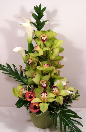 Happy holidays, orchids! - Translations: gift