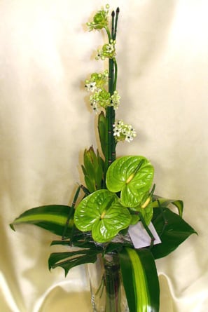 Elegance green