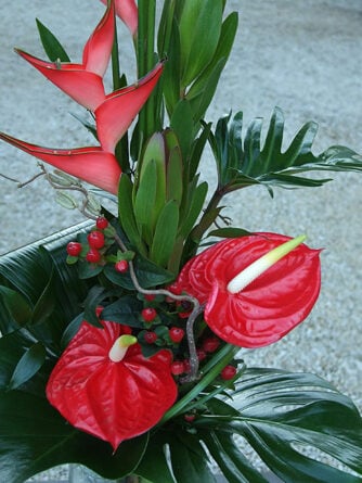 Exotic Love! (Large)