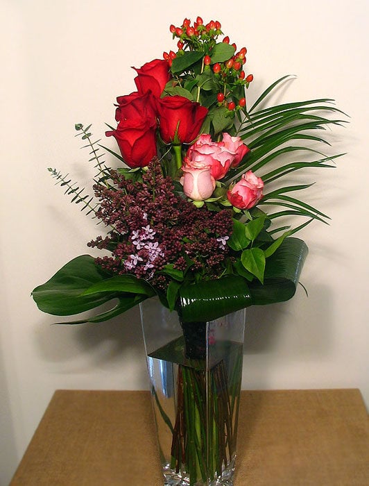 They Say The Roses (M)