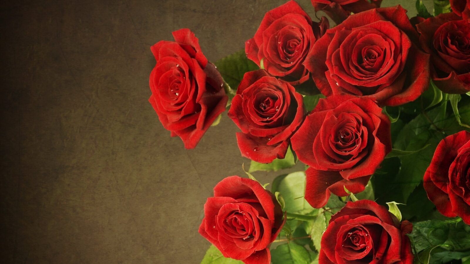 Freedom - Red Rose Bouquet Flower Delivery (Medium)