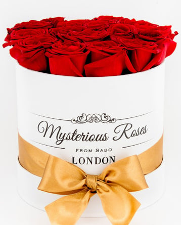Red roses Mysterious cylindrical box (Medium)