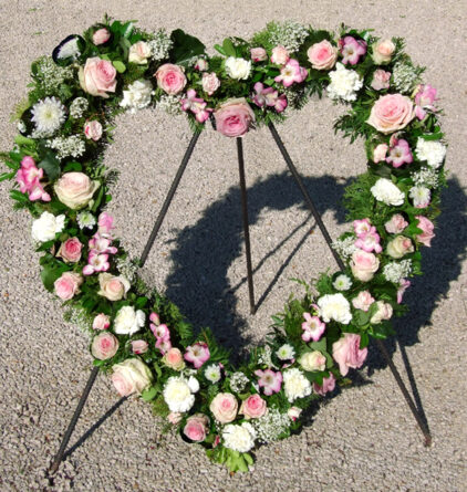 Coronary roses, pink and white colors (Medium)