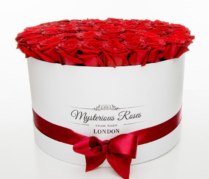 Red Roses In A Giant Rose Box
