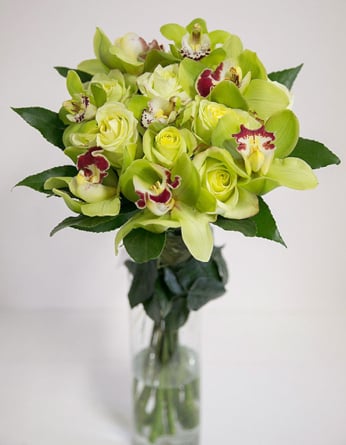 Green orchids with roses - Round bouquet (Medium)