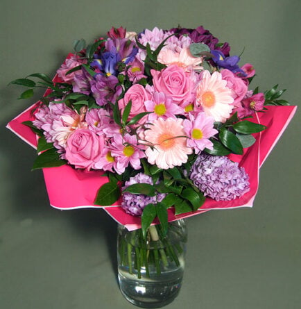 Greeting - in pink XL