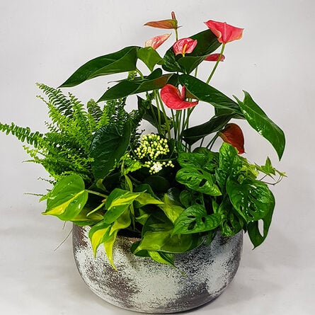 Table oasis - exclusive vegetable selection