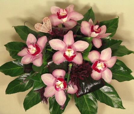 orchid Bouquets (Medium)
