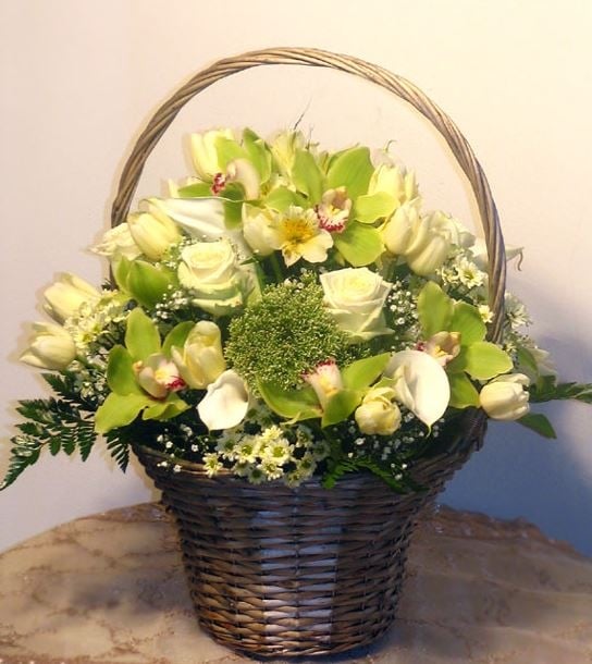 Gala Flower Basket With Cream Roses And Green Orchids (25-28 strands)