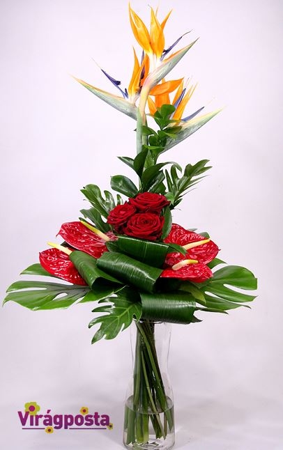 Love is a bird - exotic bouquet with red roses L