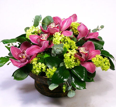 Orchid bowl in a spring mood M